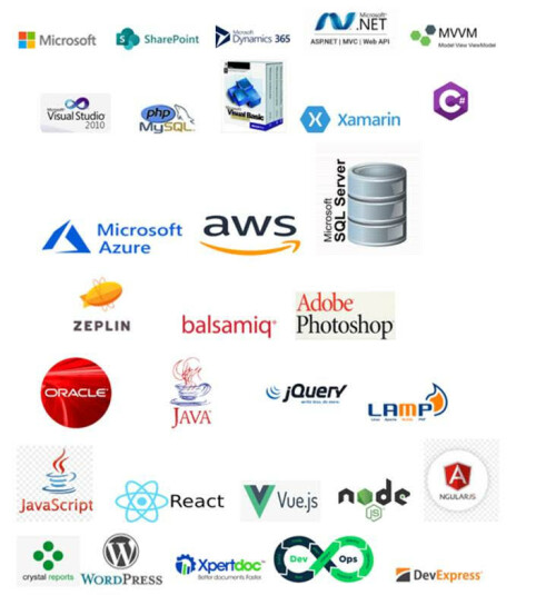 Custom-Application-Development-Software---Rensol-Technologies.jpg