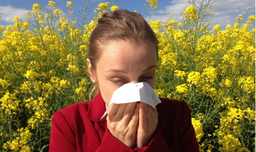 Hypnotherapy for Allergies in Secret Harbour Perth