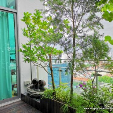 Rooftop_Garden_Design_Singapore.jpeg