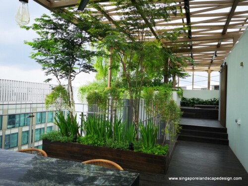 Rooftop Garden Design in Singapore