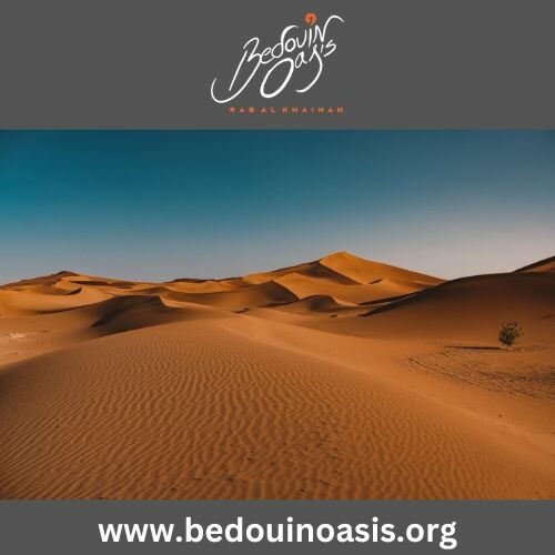Bedouinoasis-image.jpeg