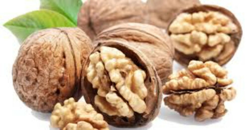 walnuts.jpeg
