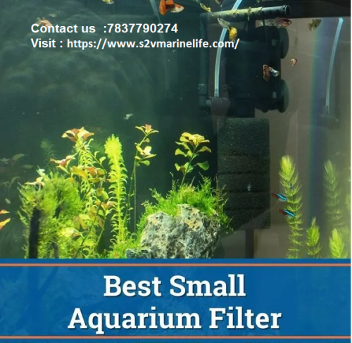 best-small-aquarium-filter.png