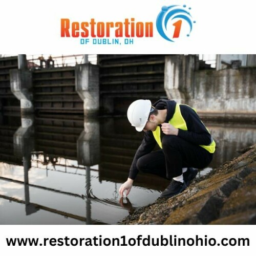 The Best Water Damage Restoration Companies