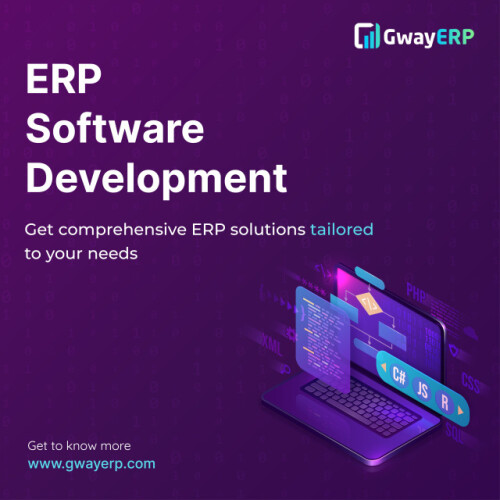 ERP-Software-Development.jpeg