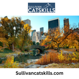 Sullivancatskills.com.png