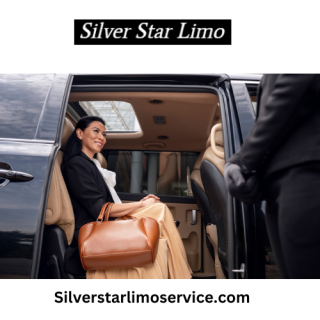 Silverstarlimoservice.com.png