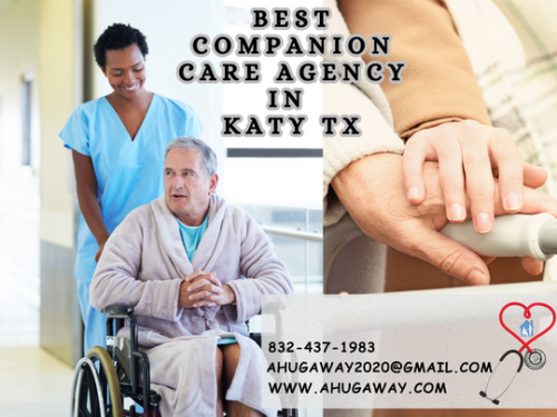 Best-Companion-Care-Agency-in-Katy-TX---A-Hug-Away-Healthcare-Inc.