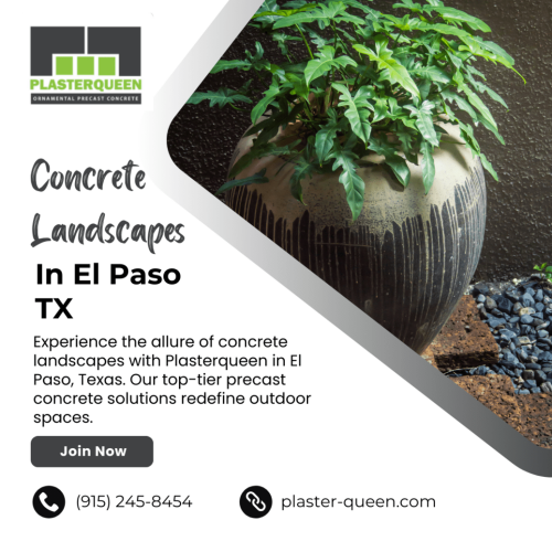 Plasterqueen-Crafting-Distinctive-Concrete-Landscapes-in-El-Paso-Texas.png