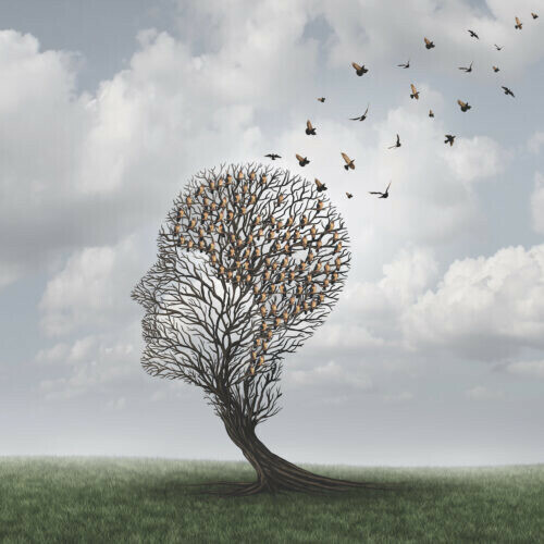 Memory loss concept and Alzheimer patient surreal symbol as a medical mental health care concept with an empty head shaped  tree and a group of birds shaped as a brain for neurology and dementia or losing intelligence.