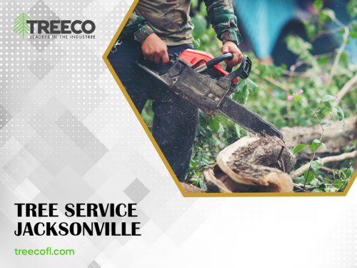 TREE-SERVICE-JACKSONVILLE.png