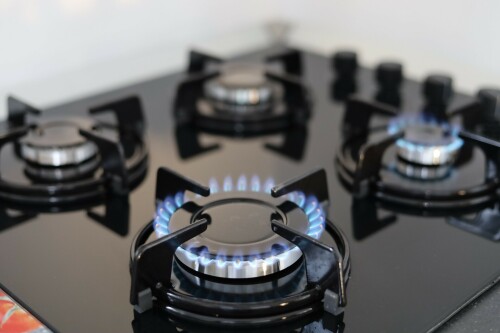 Lpg and natural gas fitting picture 1