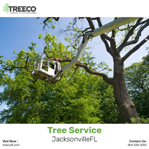 Tree-Service-JacksonvilleFL.jpeg