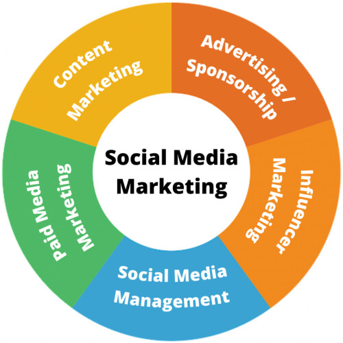 Social-Media-Marketing-Agency-in-Noida---Madzenia.jpeg