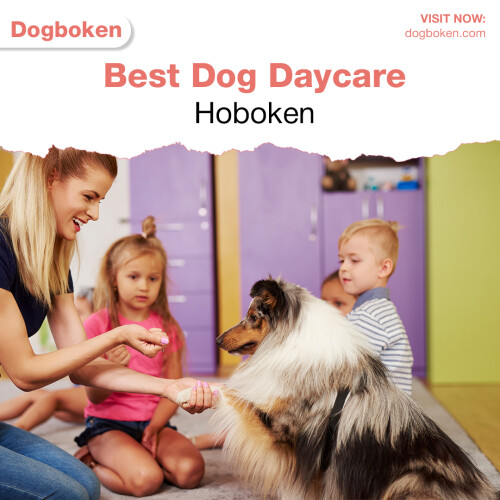 Best Dog Daycare Hoboken