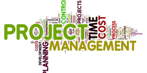 Project management companies specialize in planning, organizing, and executing projects to meet specific goals within a given, scope.https://amuconsultant.com/project-management-companies/