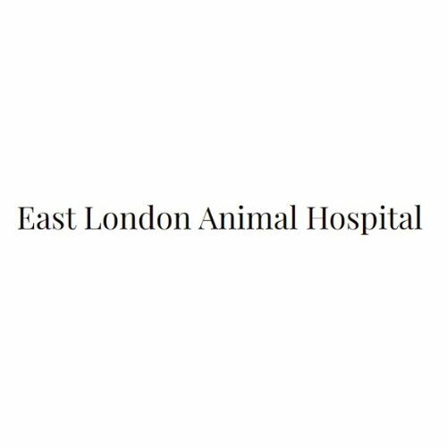 London-Animal-Clinic.jpeg