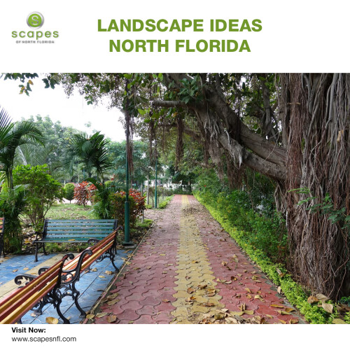 LANDSCAPE IDEAS NORTH FLORIDA