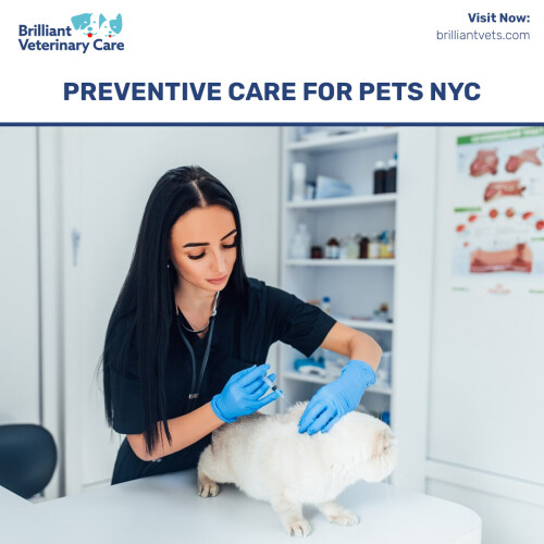 PREVENTIVE CARE FOR PETS NYC