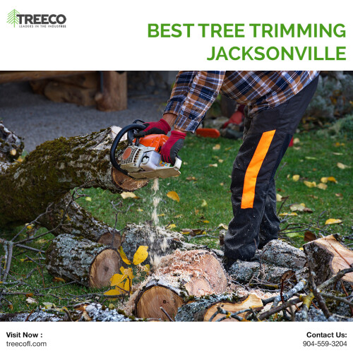 BEST-TREE-TRIMMING-JACKSONVILLE.jpeg