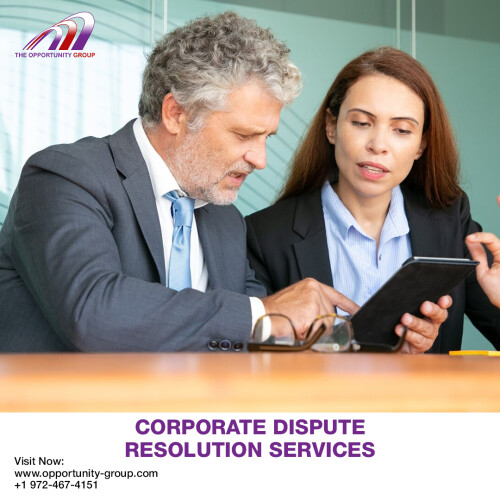 CORPORATE DISPUTE RESOLUTION SERVICES