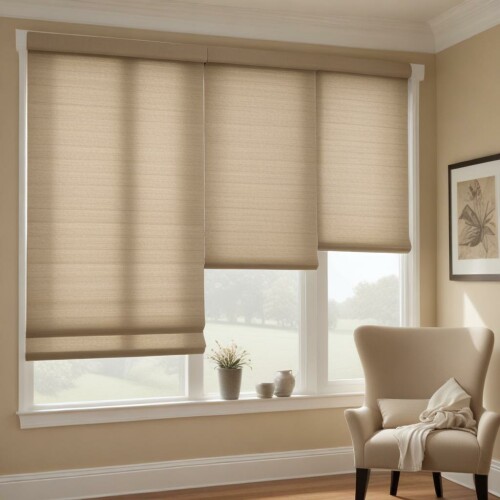 Window-Shades-in-Edmonton-Canada.jpeg