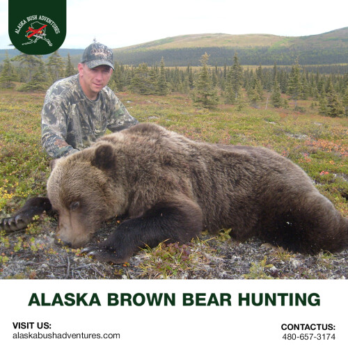 ALASKA-BROWN-BEAR-HUNTING.jpeg