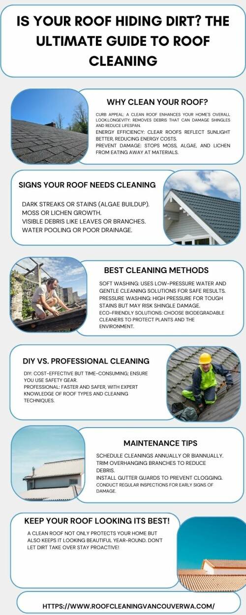 Is-Your-Roof-Hiding-Dirt-The-Ultimate-Guide-to-Roof-Cleaning.jpeg