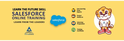 best-salesforce-training-in-noida-3.jpg.jpeg