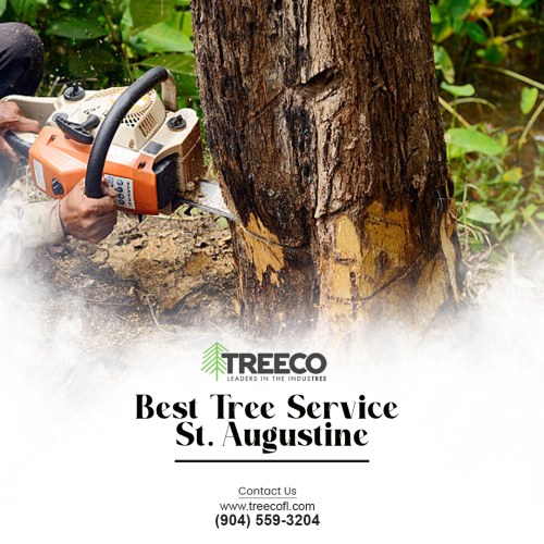 Best-Tree-Service-St.-Augustine.png