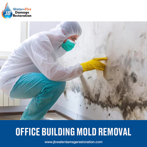 OFFICE-BUILDING-MOLD-REMOVAL.jpeg